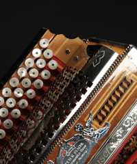 Stachl B, Es, As Almrausch