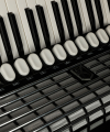 Hohner Tango V T
